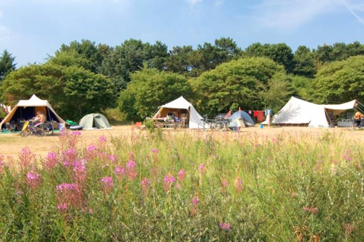 Camping on Ameland - Tourist Information 