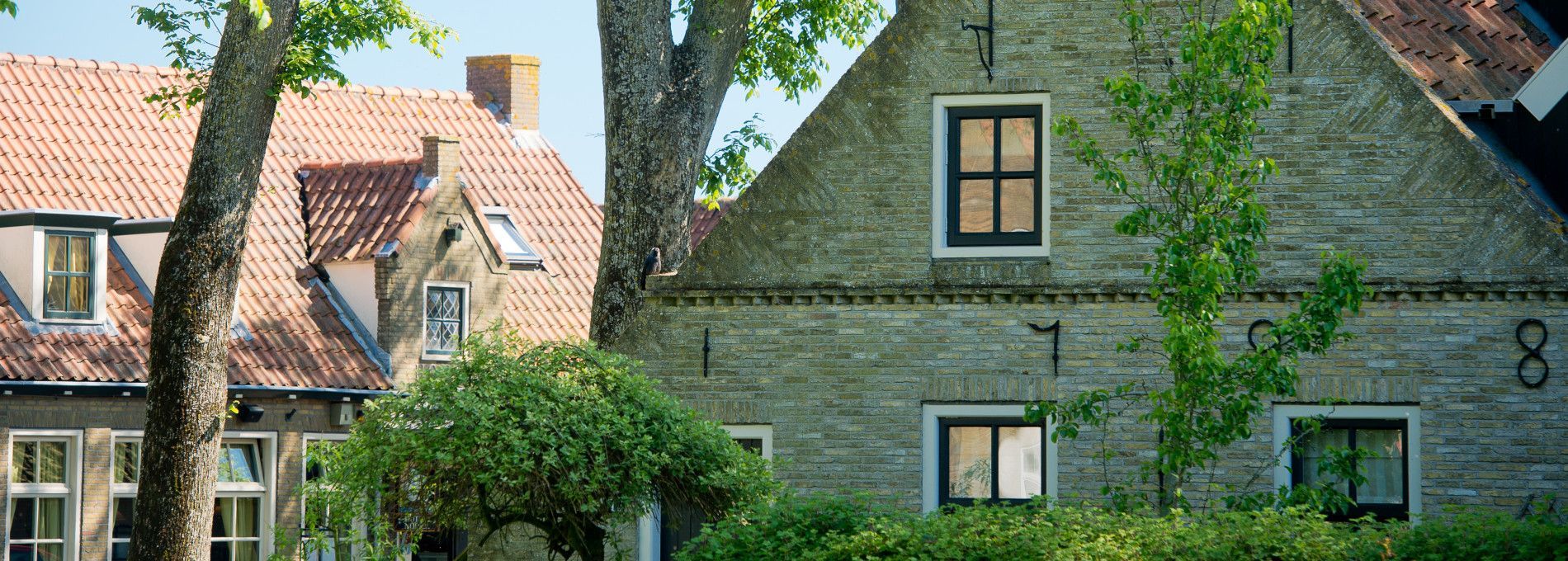 Accommodations with bird names Ballum - VVV Ameland