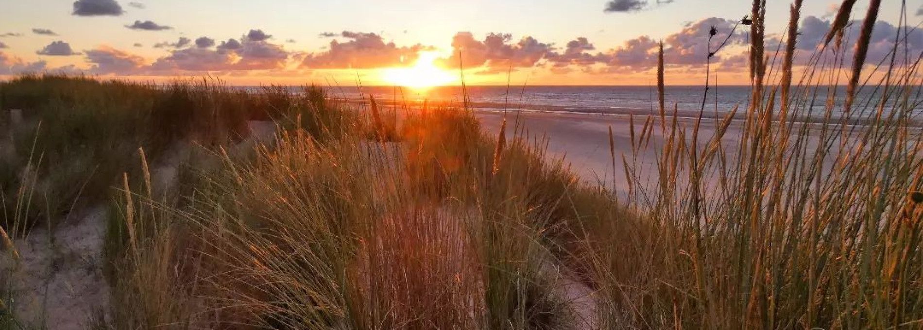 Prizes and awards - VVV Ameland