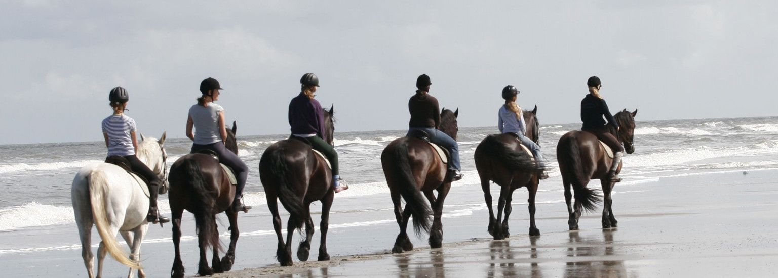 Riding stable 't Jutterspad - Tourist Information 