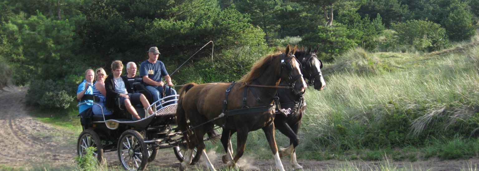 Recreational rides family De Boer - Tourist Information 