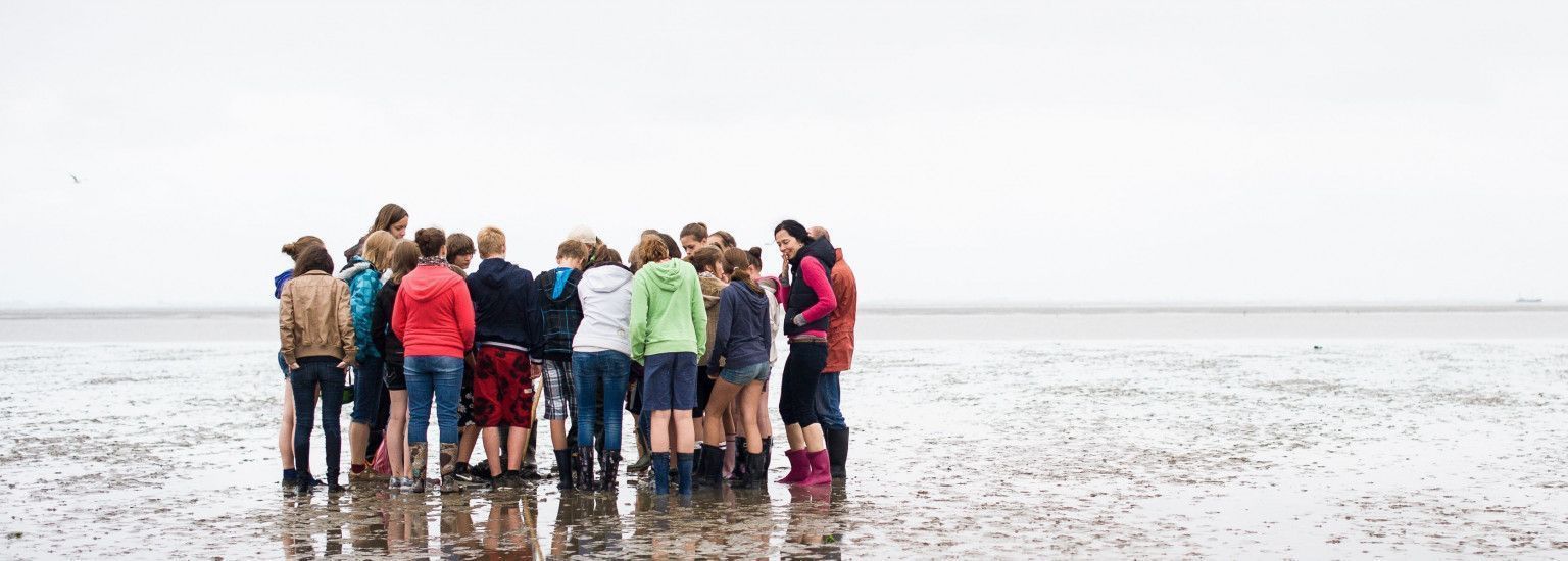 Mudflat excursion - Tourist Information 