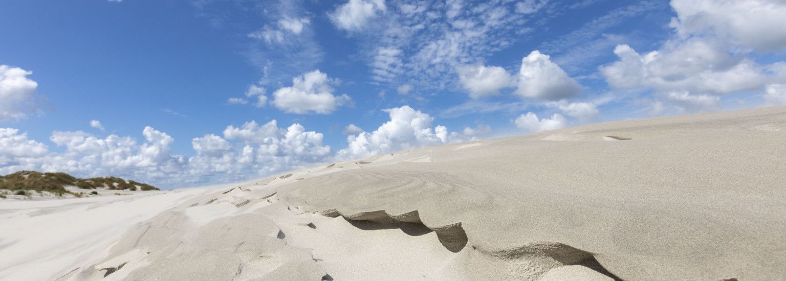 Beach and shell excursion - Tourist Information 