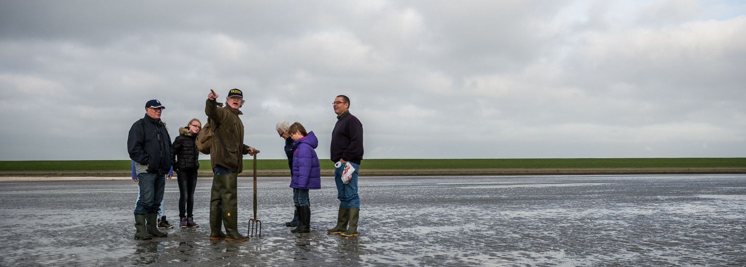 Wijnberg Mudflat excursions - Tourist Information 