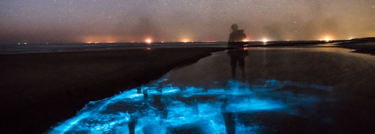 Sea spark - Foto Rafael Martig - VVV Ameland