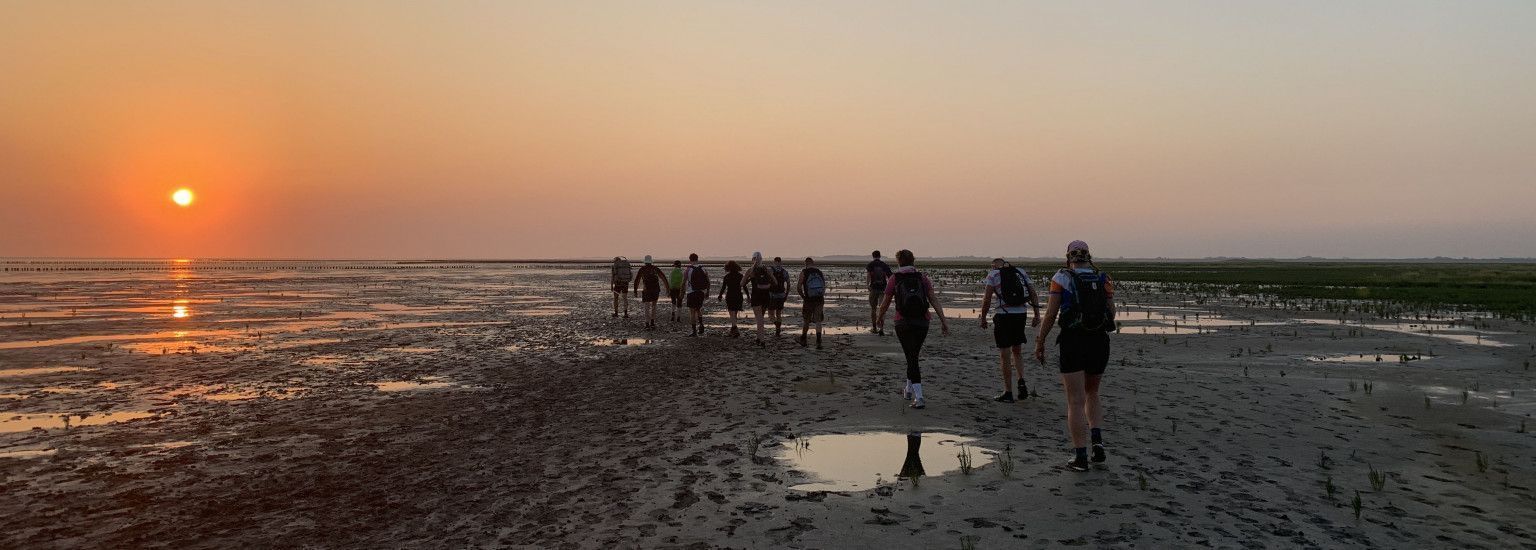 Mudflat wandering tour - Tourist Information 