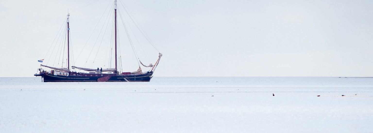 Mudflat hiking or -hopping - Tourist Information 