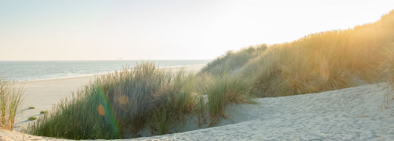 Ameland - Schiermonnikoog - Mudflat Hopping - Tourist Information 