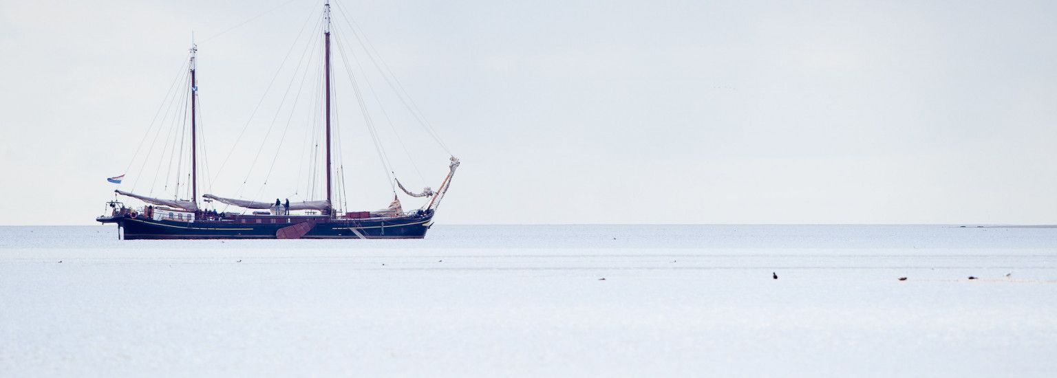 Mudflat hiking or island hopping - Tourist Information 