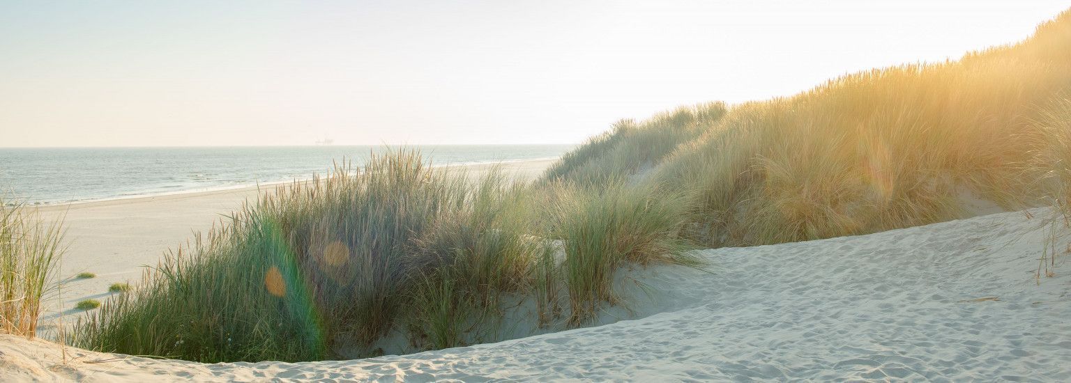 Ameland - Schiermonnikoog - Mudflat Hopping - Tourist Information 