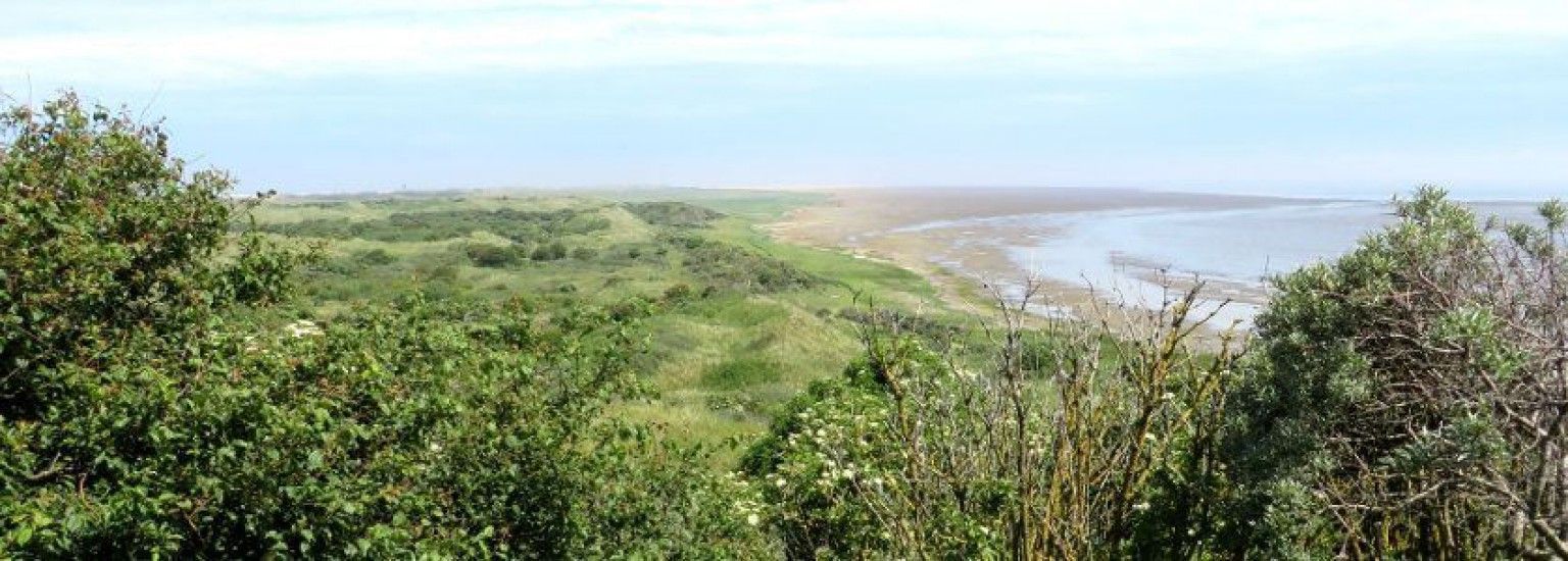 Natural Ameland