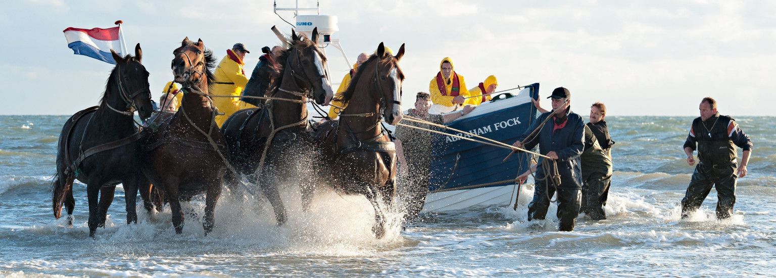 Demonstration horse-drawn rescue boat - VVV Ameland