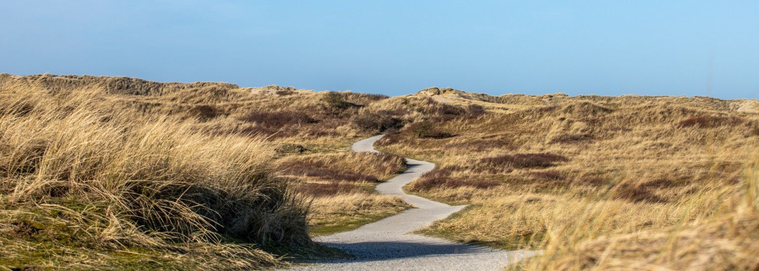 New Year's resolutions? Start on Ameland! - VVV Ameland