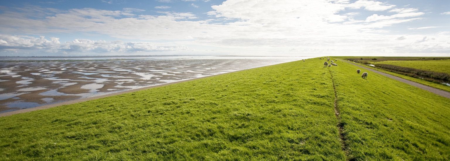 The Storm Surge of 1825 - VVV Ameland