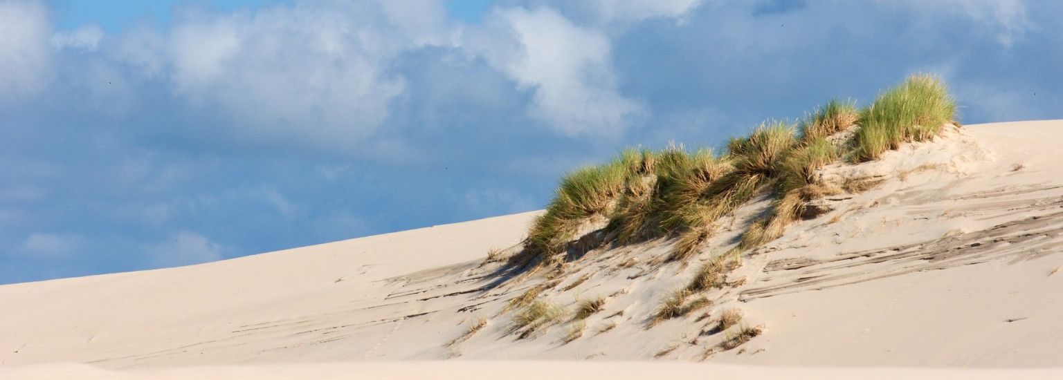 Spring on Ameland: your ultimate outing - VVV Ameland