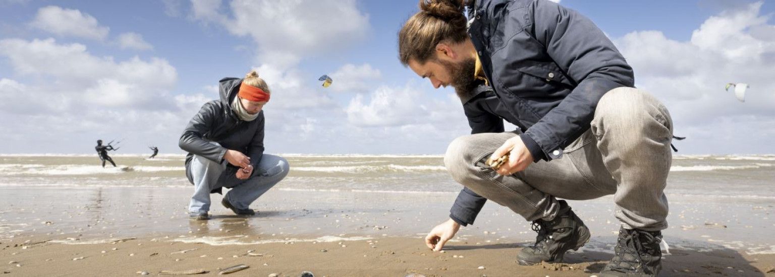 shell counting day - VVV Ameland