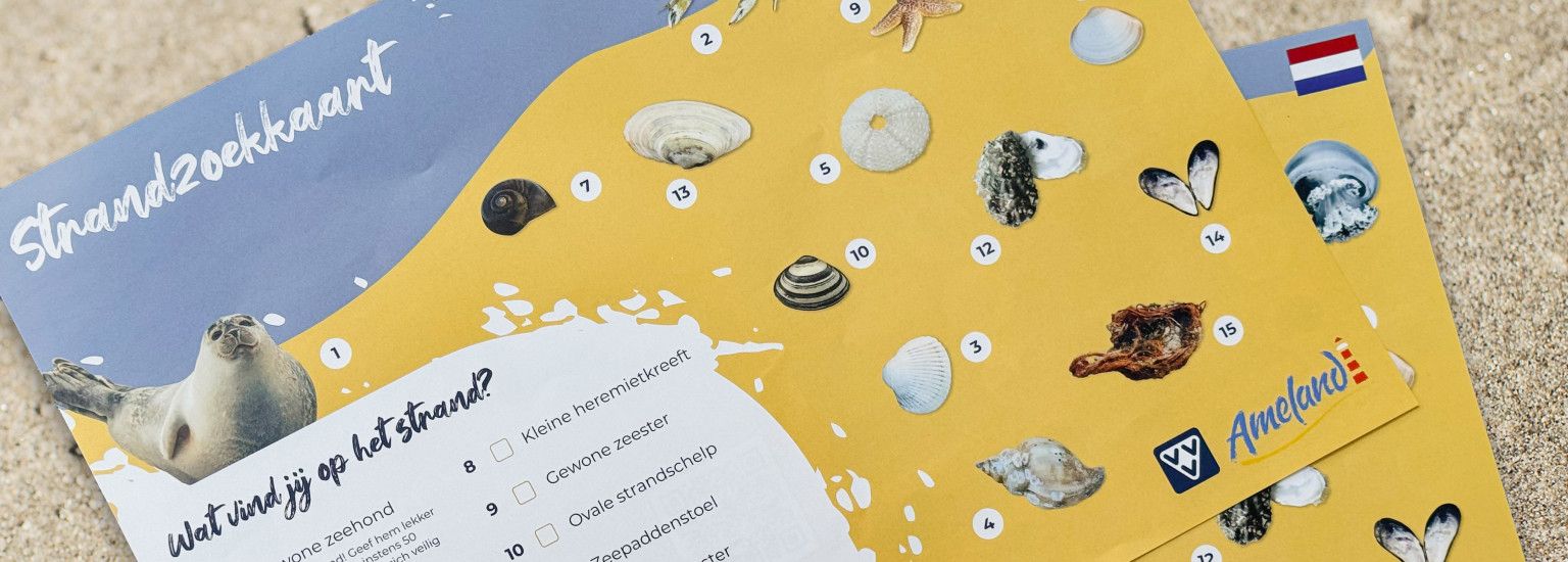 Shell searching with the Beach Search Map (Free) - VVV Ameland