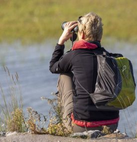 Kooiduinen - VVV Ameland