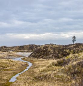 The Best activities on Ameland during the Christmas Holidays - VVV Ameland