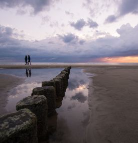 Beachcombing on Ameland - VVV Ameland