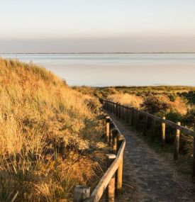 Oerdblinkert - VVV Ameland