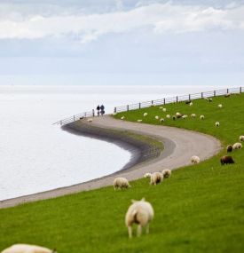 Dijk bij de Reeweg (Nes) - VVV Ameland