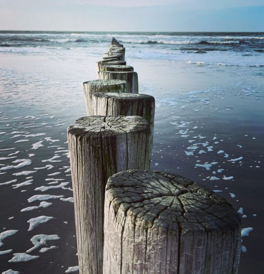 Beach lovers - VVV Ameland