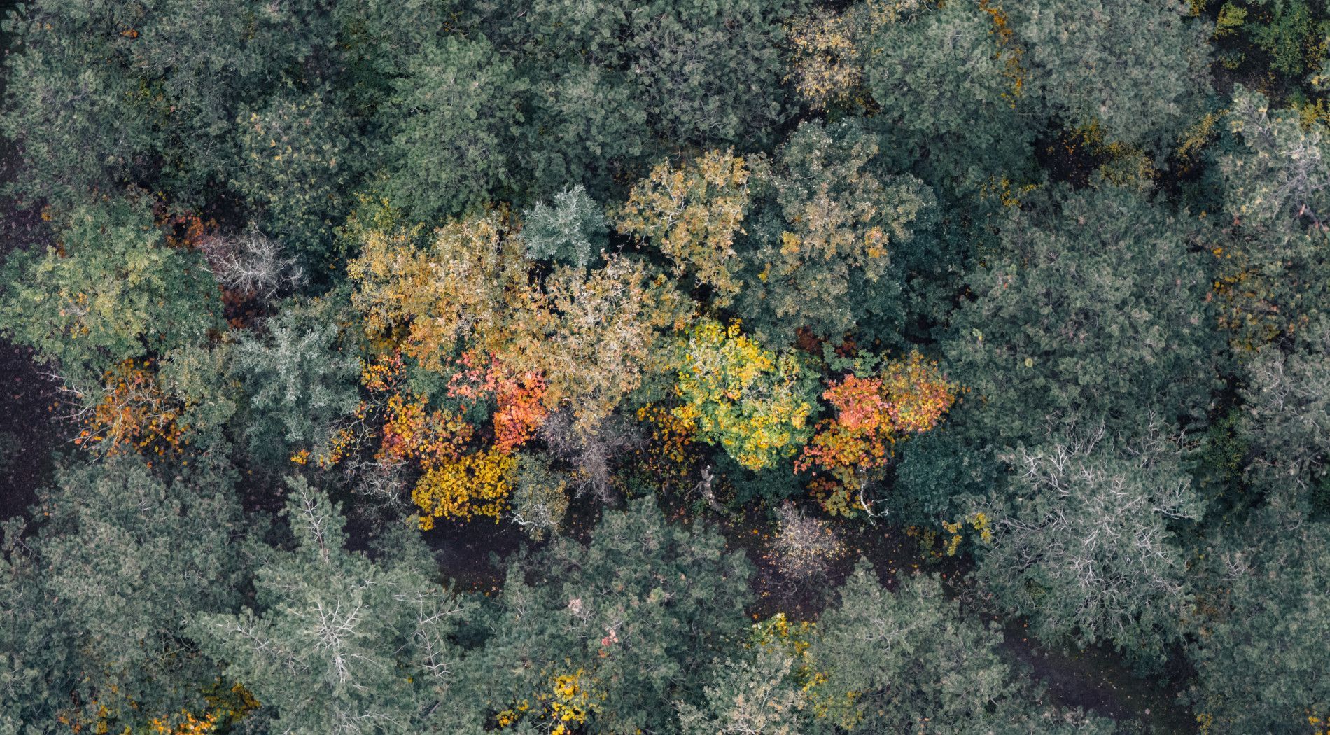 Herfst en najaar op Ameland - VVV Ameland