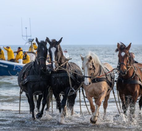 The Best activities on Ameland during the Christmas Holidays - VVV Ameland