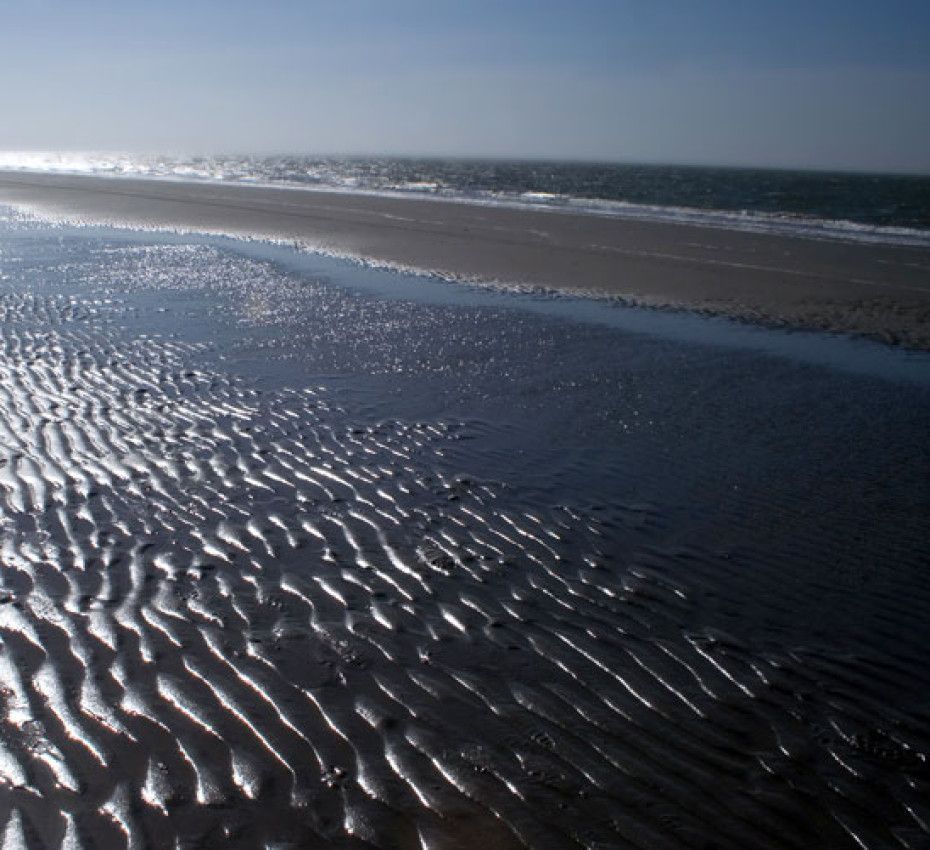 Wat te doen als je in een mui komt - VVV Ameland