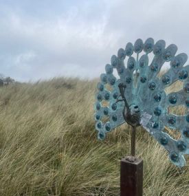 Art Month Ameland November - Tourist information 