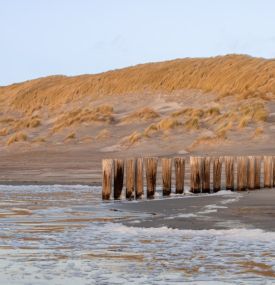 The Best activities on Ameland during the Christmas Holidays - VVV Ameland