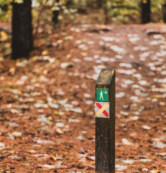 Hikers - VVV Ameland