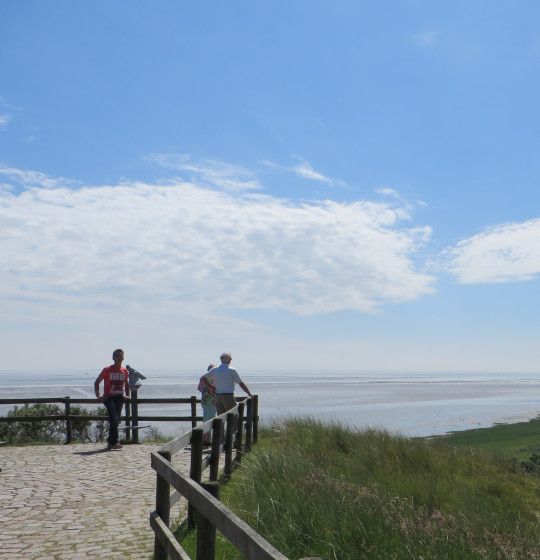 De Oerdblinkert - VVV Ameland