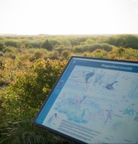 Hagedoornveld - VVV Ameland