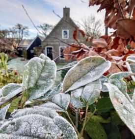 Christmas Holidays on Ameland - VVV Ameland