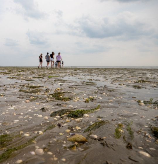 Herfst en najaar op Ameland - VVV Ameland