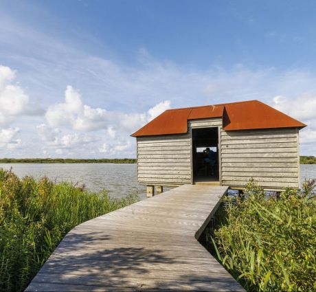 Natuur beleven doe je buiten! - VVV Ameland