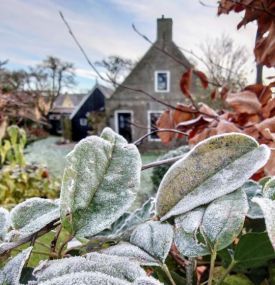 Winter explorer - VVV Ameland