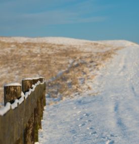 The Best activities on Ameland during the Christmas Holidays - VVV Ameland