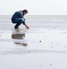 Vishandel Metz - VVV Ameland