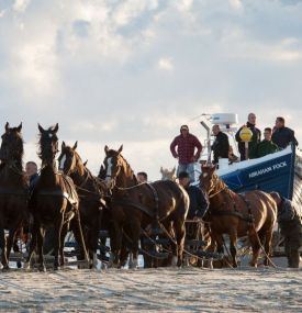 Laatste in zijn soort - paardenreddingboot Ameland - VVV Ameland