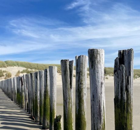 Beach posts lifeguards - VVV Ameland