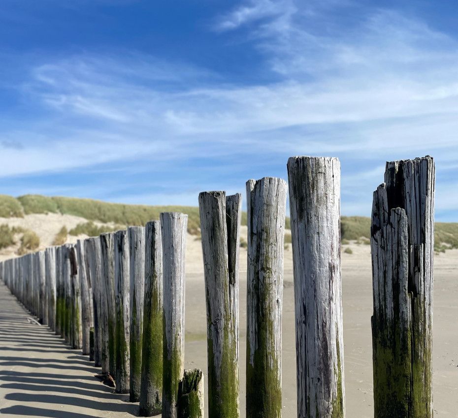 Beach posts lifeguards - VVV Ameland