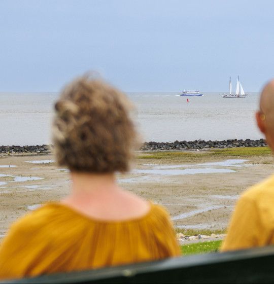 de Waddenzeedijk - VVV Ameland