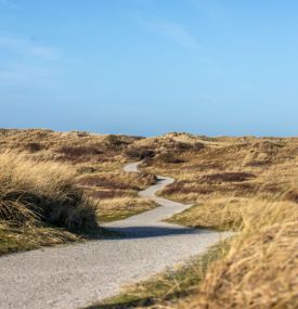 A Fresh Start - VVV Ameland