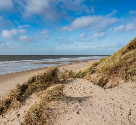 Beachcombing on Ameland - VVV Ameland