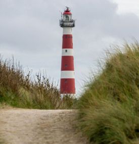 Bos, strand en vuurtorentocht - VVV Ameland