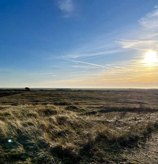 Bureblinkert - VVV Ameland