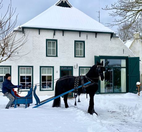 Carriage rides on Ameland - VVV Ameland